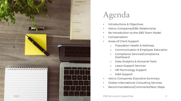 Velcro Finalist Presentation - Page 2