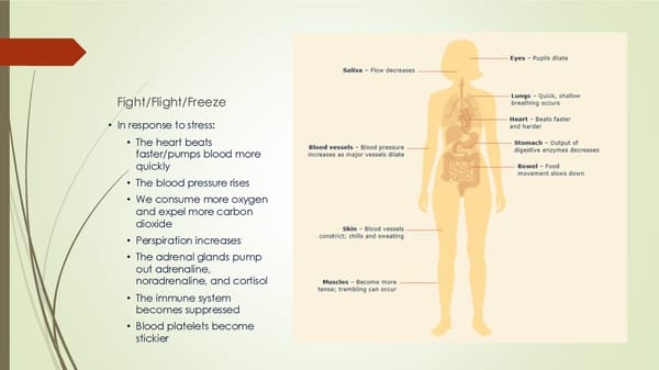 SESSION #2 - A Mindful Way to Reduce Stress and Develop Resilience - Page 9