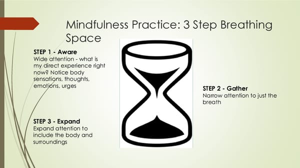 SESSION #2 - A Mindful Way to Reduce Stress and Develop Resilience - Page 17
