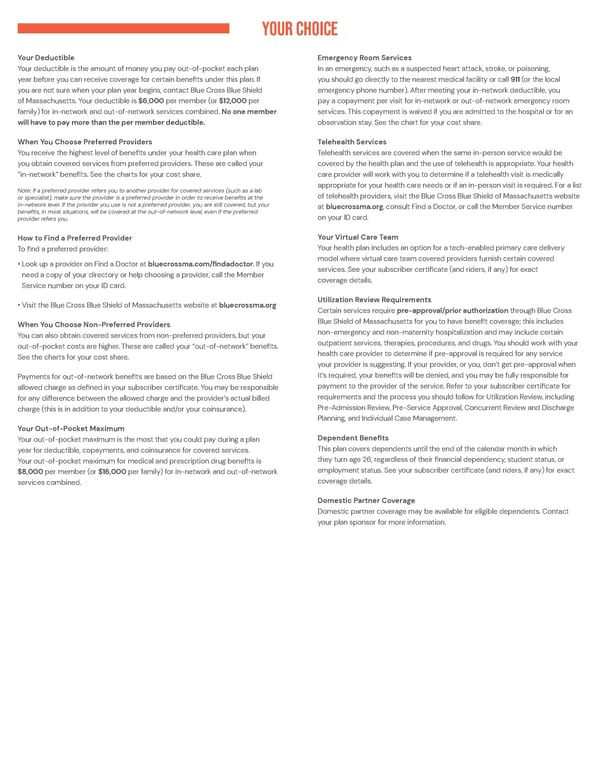 BCBS Preferred Blue PPO Basic Saver - Summary of Benefits and Coverage - Page 2