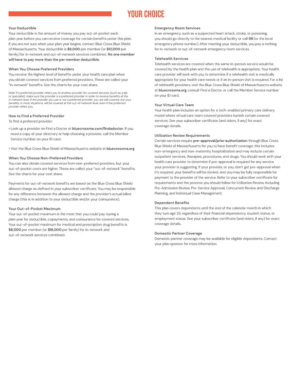 Preferred Blue PPO Basic Saver - Summary of Benefits - Page 2