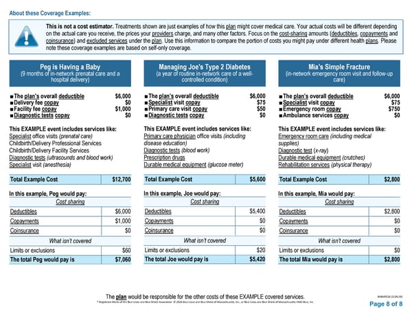 HMO BCBS Access Blue NE Basic Saver II - Summary of Benefits and Coverage - Page 8
